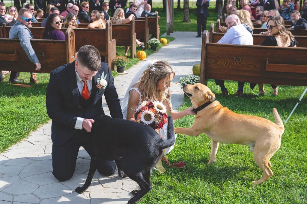 Wedding couple include dogs in their wedding ceremony