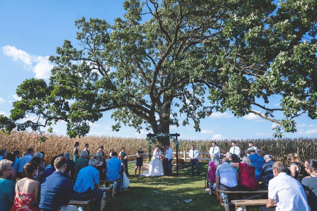 Outdoor wedding ceremony in cornfield