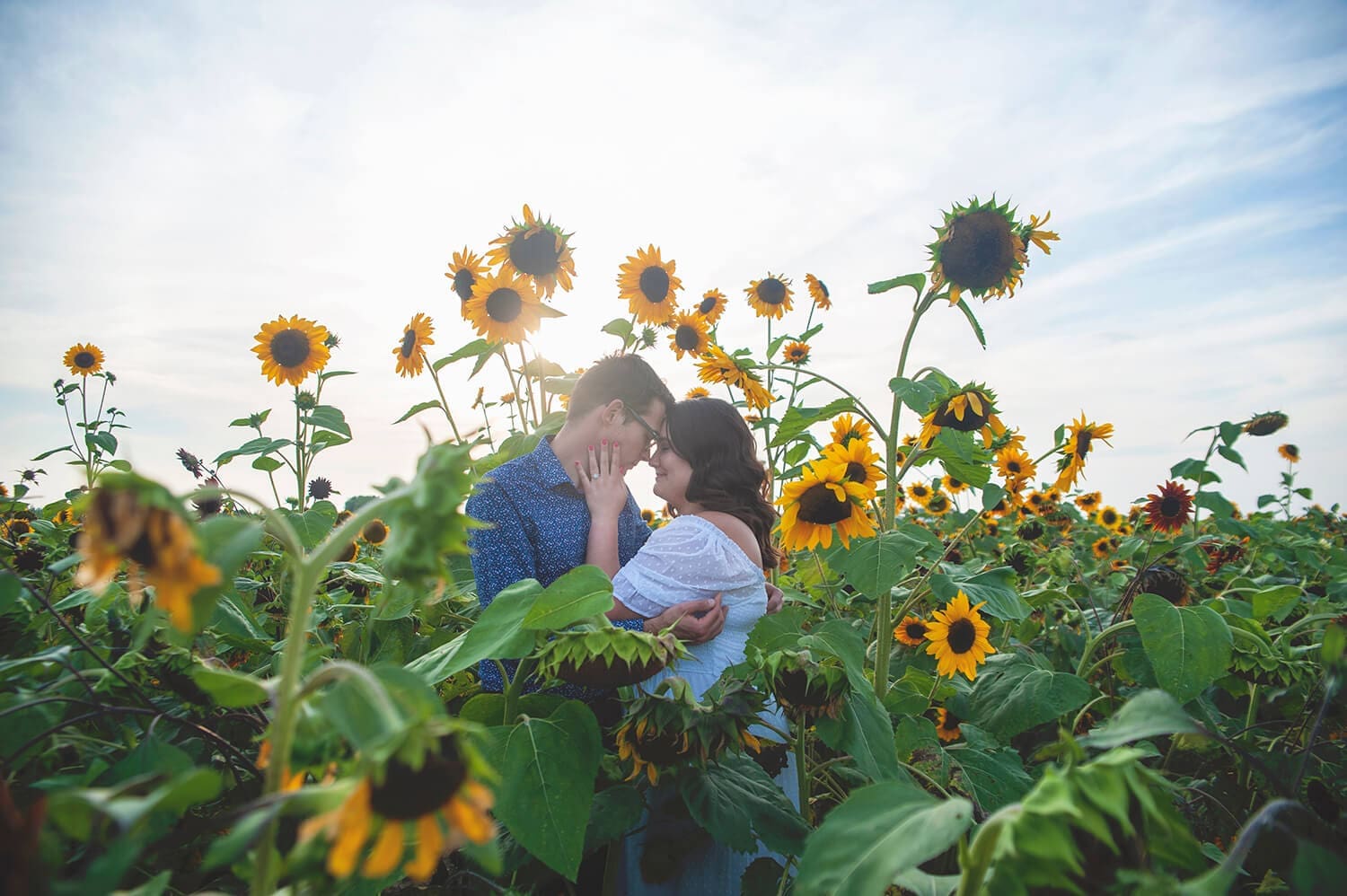 Engaged couple pose in a field of sunflowers in Northern Illinois